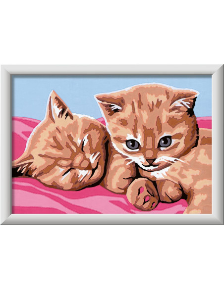 CreArt Serie E Classic - Gattini amici