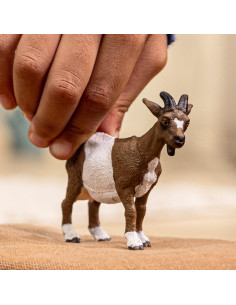 Schleich Capra 2