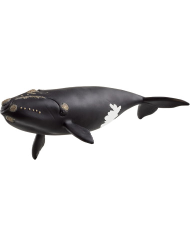 Schleich Wild Life - Balena franca nordatlantica