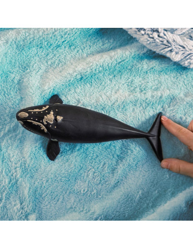 Schleich Wild Life - Balena franca nordatlantica