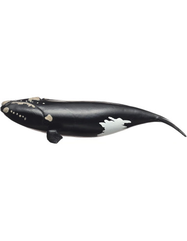 Schleich Wild Life - Balena franca nordatlantica