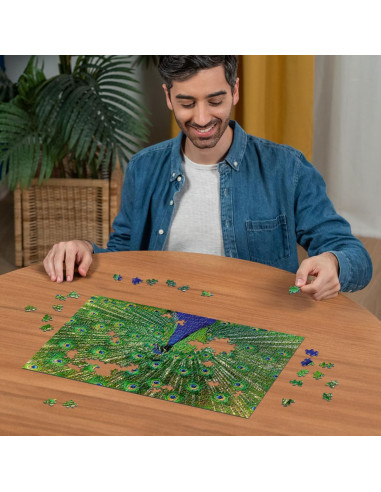 Puzzle 500 pz Pavone