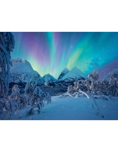 Puzzle 1500 pz Lo spettacolo dell'Artico