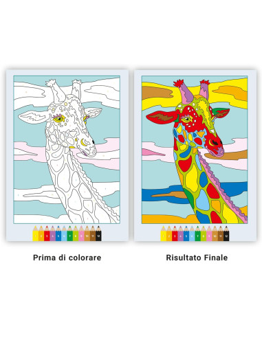 Album da colorare Animali selvaggi