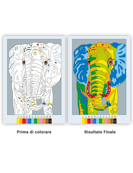 Album da colorare Animali selvaggi