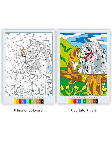 Album da colorare Cavalli