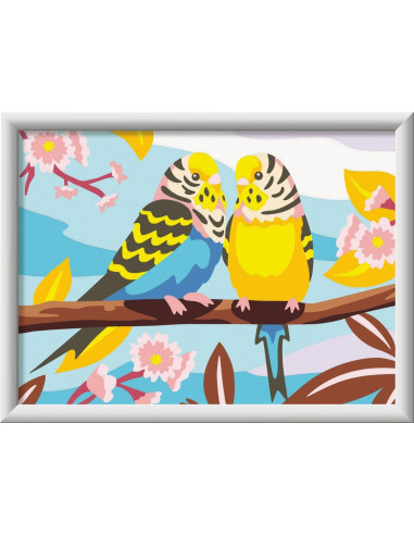 Creart Serie D Gli inseparabili