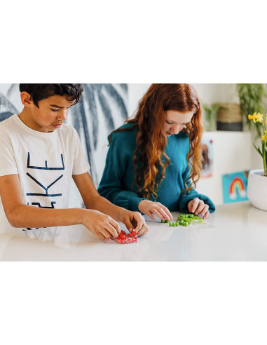 Smart Games - IQ Mini