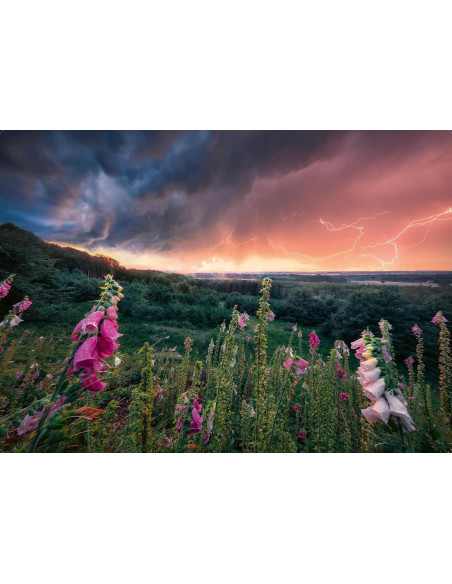 Puzzle 1000 pz Fulmine Onirico