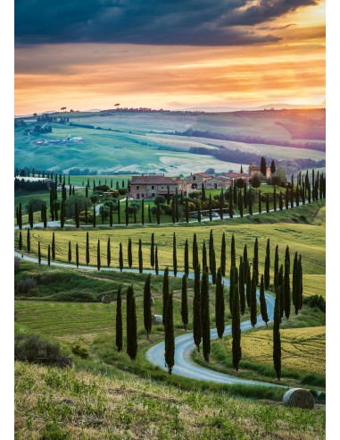 Puzzle 1000 pz Val d'orcia, Toscana