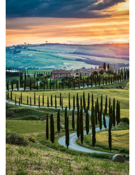 Puzzle 1000 pz Val d'orcia, Toscana