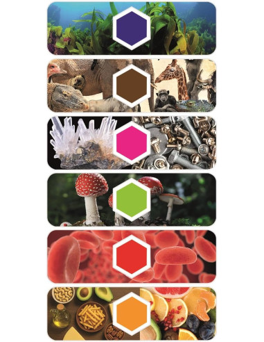 Microscopio interattivo digitale con A.I. e...