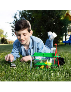 Geopop Il mondo degli insetti 2