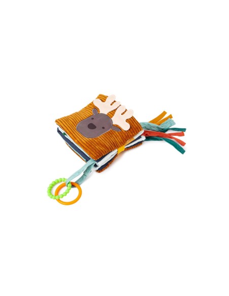 Primo libro delle attività 2 in 1 - Foresta