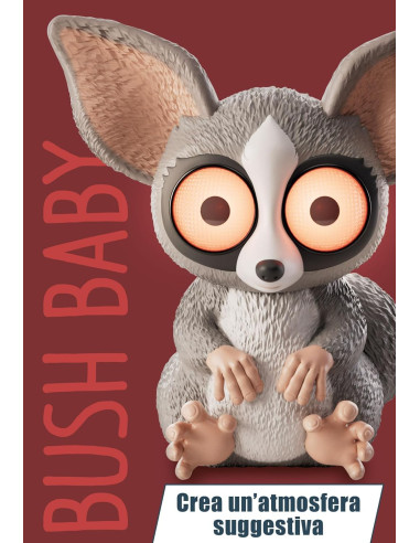 Rainy Days Bushbaby