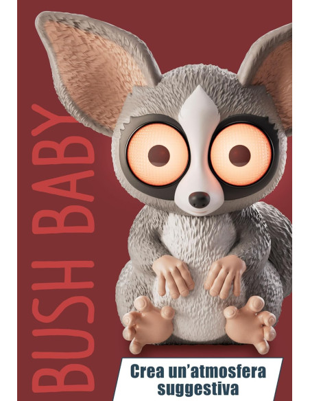 Rainy Days Bushbaby