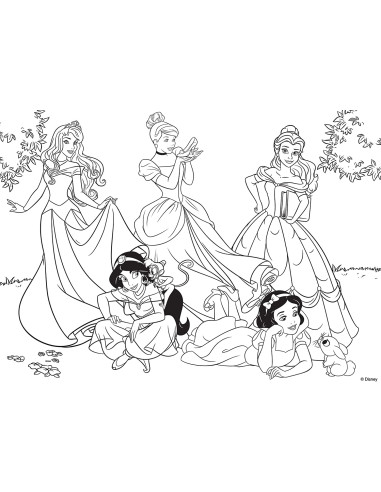 Disney Puzzle DF Maxi Floor 108 Princess Forever