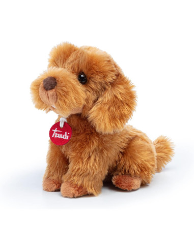 Trudi - Barboncino Toy Oliver seduto