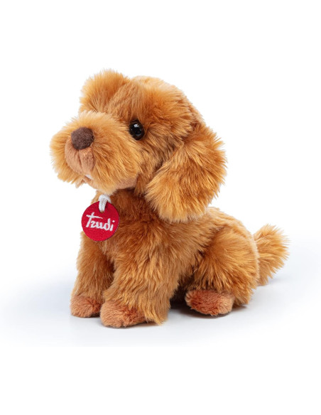 Trudi - Barboncino Toy Oliver seduto