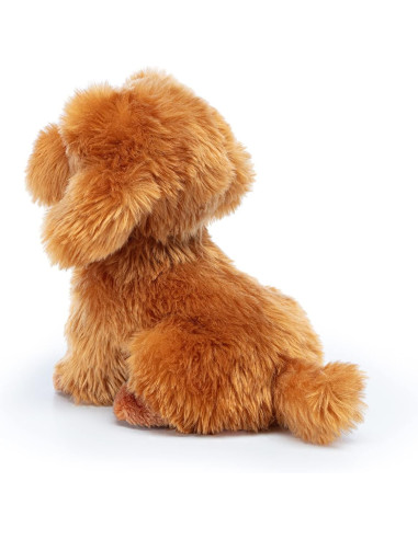 Trudi - Barboncino Toy Oliver seduto