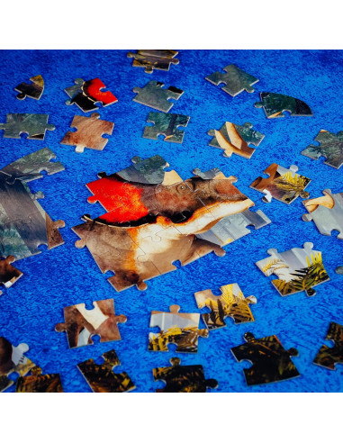 Lisciani - I'm a Genius Dino Stem Triceratopo