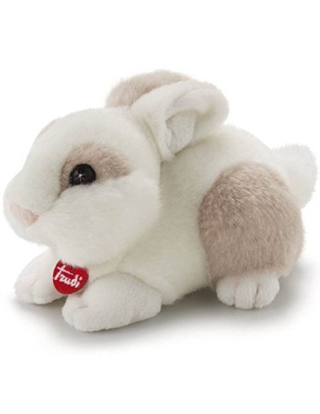 Trudino Coniglio CM 15