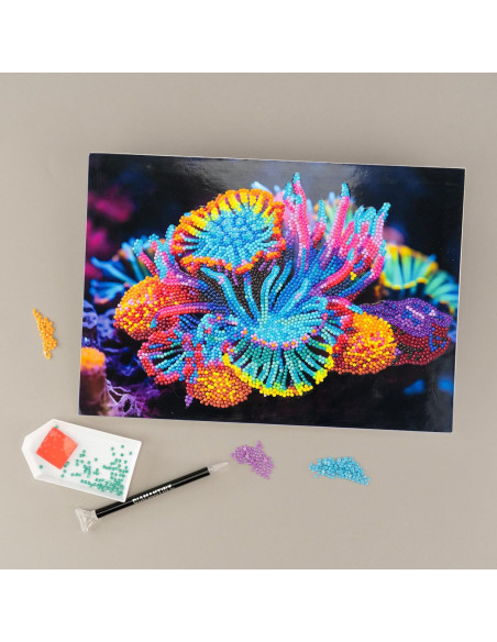 Diamantiny Level Up Anemone 