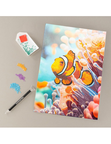 Diamantiny Level Up Pesce Pagliaccio