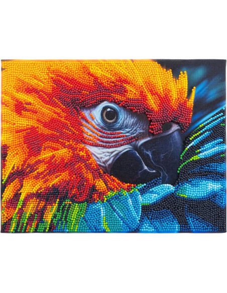 Diamantiny Quadro Ara