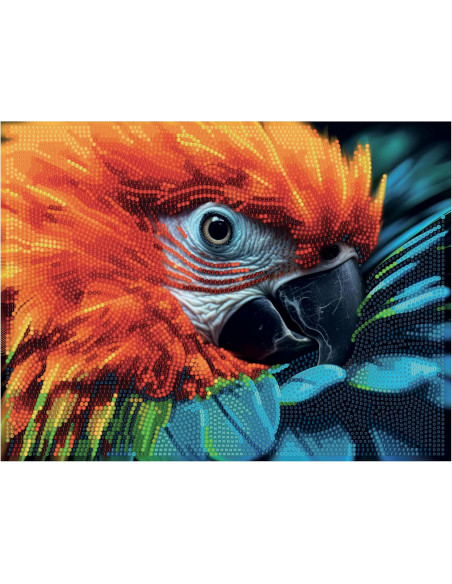 Diamantiny Quadro Ara