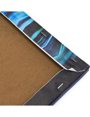 Diamantiny Quadro Ara