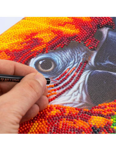 Diamantiny Quadro Ara