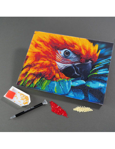 Diamantiny Quadro Ara