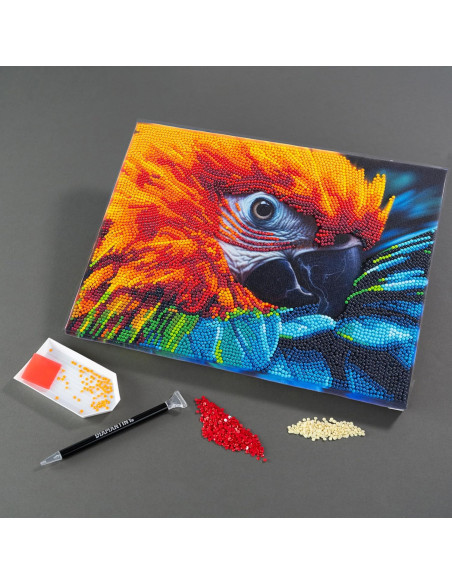 Diamantiny Quadro Ara