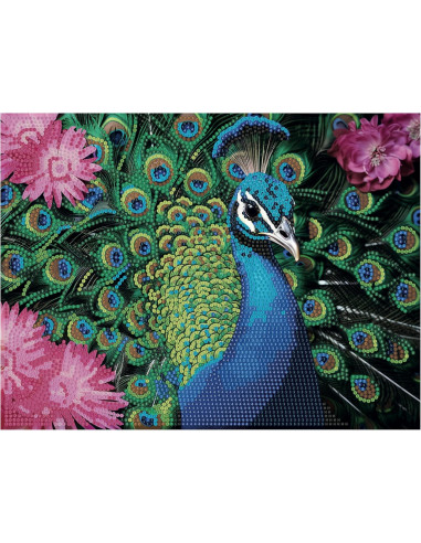 Diamantiny Quadro Pavone