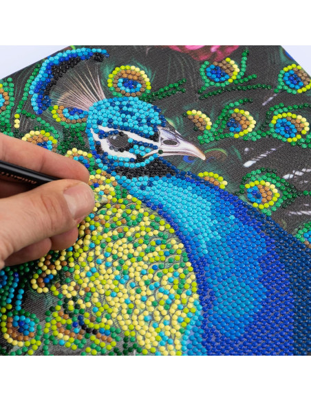 Diamantiny Quadro Pavone