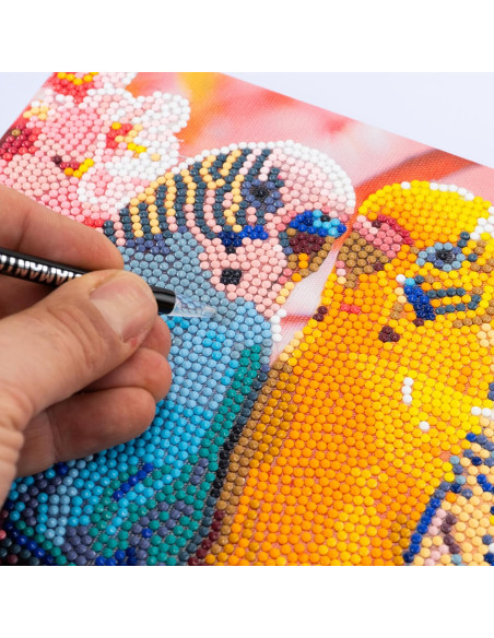 Diamantiny Quadro Parrocchetti