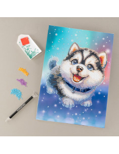 Diamantiny Level Up Husky 2