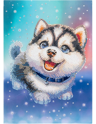 Diamantiny Level Up Husky