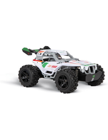 Carrera 2.4GHz Team Rider