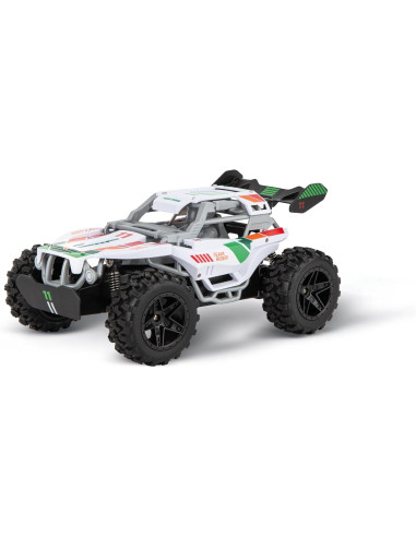 Carrera 2.4GHz Team Rider