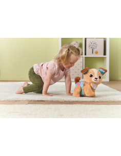 Milo scodinzolo e cammino 2