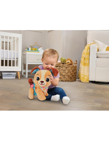 Milo scodinzolo e cammino