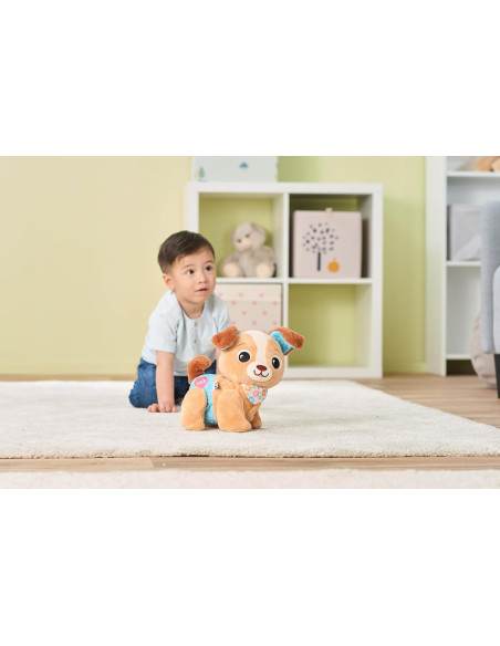 Milo scodinzolo e cammino