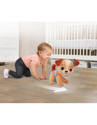 Milo scodinzolo e cammino