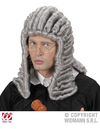 PARRUCCA GIUDICE GRIGIA