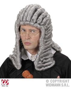 PARRUCCA GIUDICE GRIGIA 2