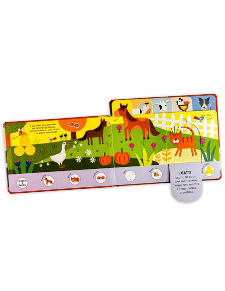 Fattoria - piccoli esploratori