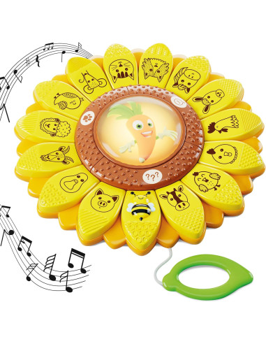 Carotina il Girasole Educativo