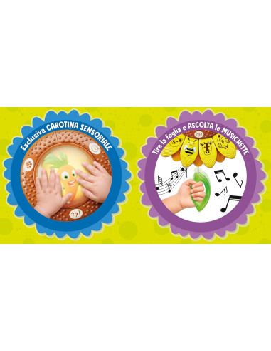 Carotina il Girasole Educativo